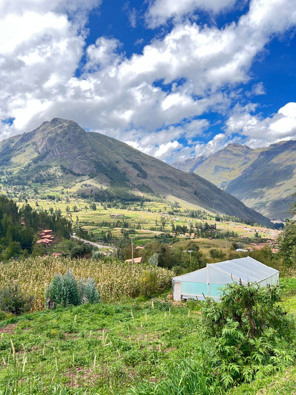 09:30 · Pisac